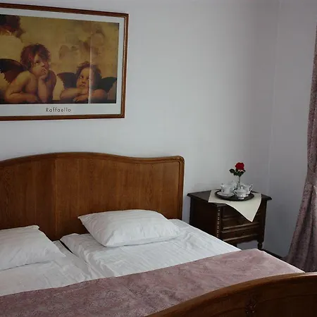 Amicus Vilnius