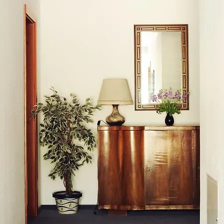 Amicus