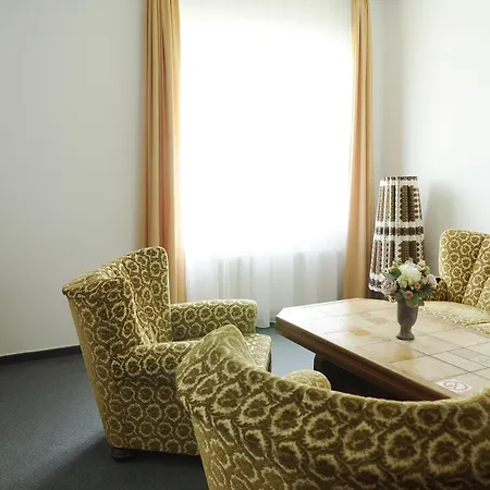 Amicus Vilnius