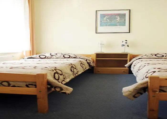 Amicus ヴィリニュス