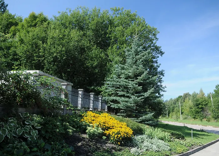 Amicus ヴィリニュス