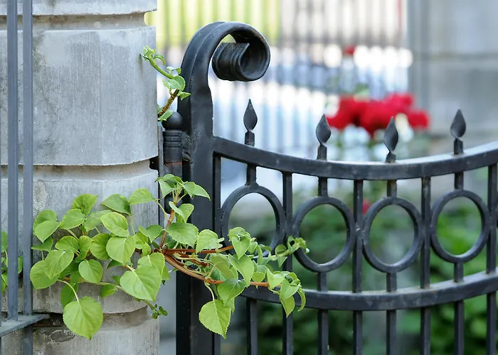 Amicus ヴィリニュス